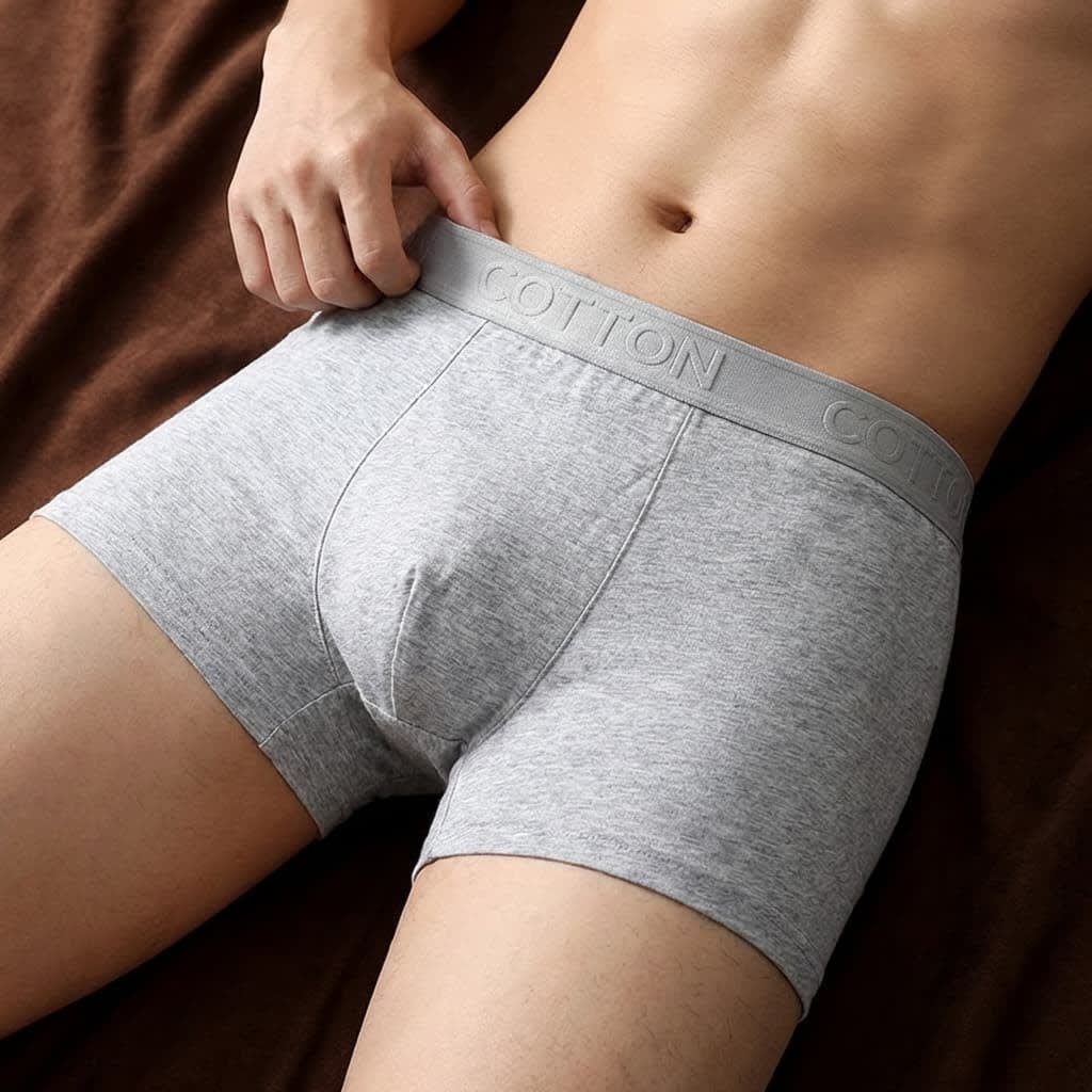 Men's Organic Cotton Multipack Boxer Briefs | Wilbur_3