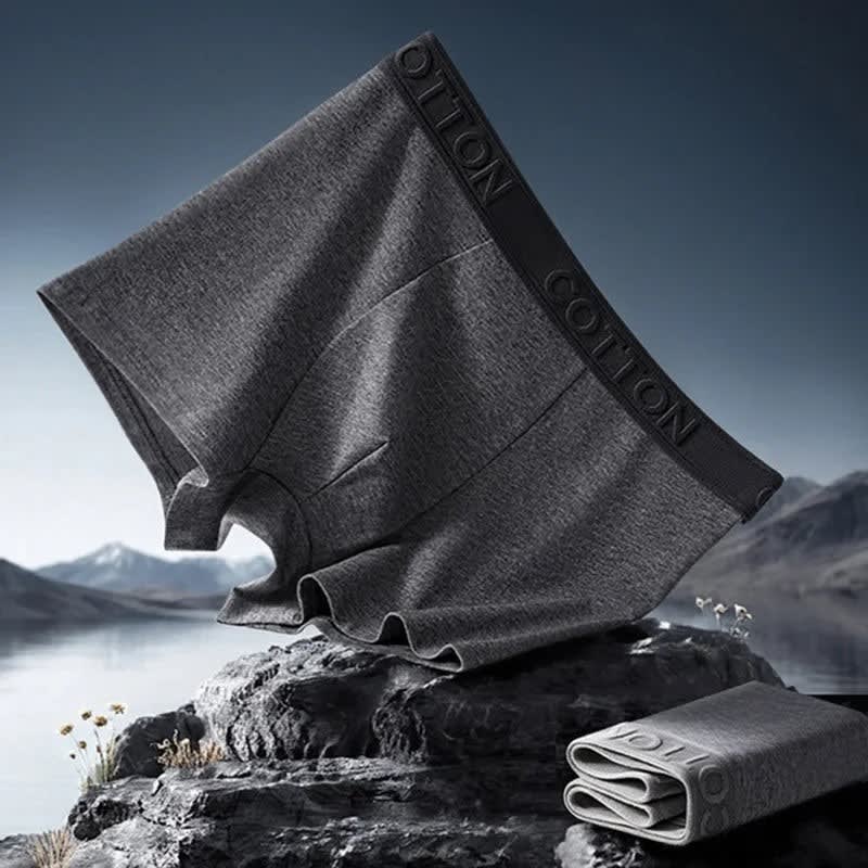 Men's Organic Cotton Multipack Boxer Briefs | Wilbur_4