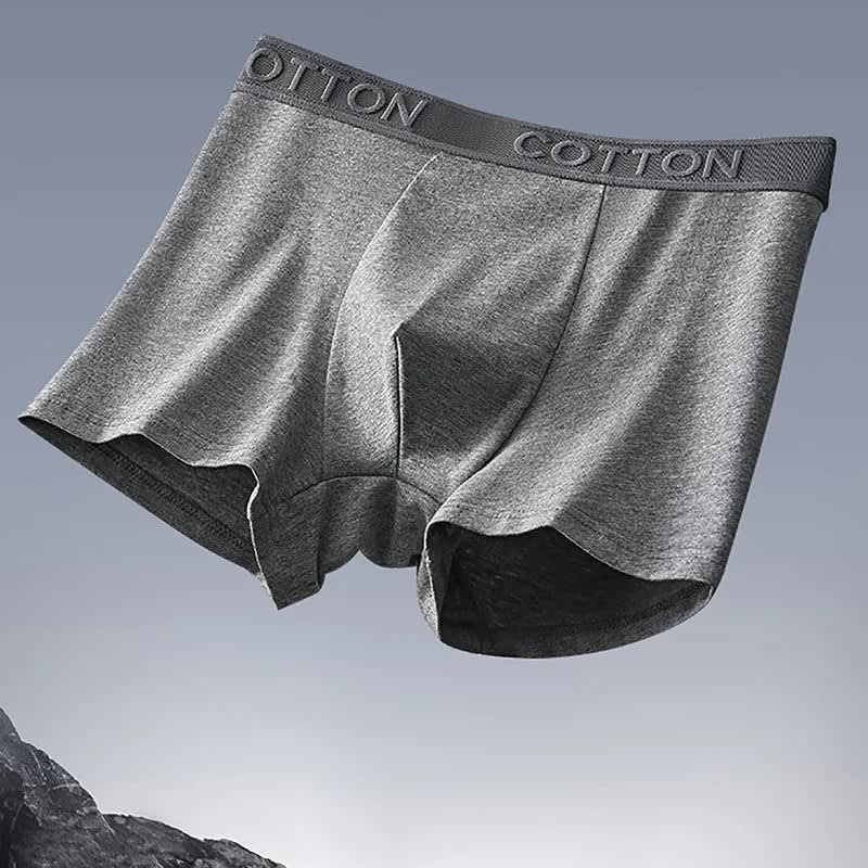 Men's Organic Cotton Multipack Boxer Briefs | Wilbur_6