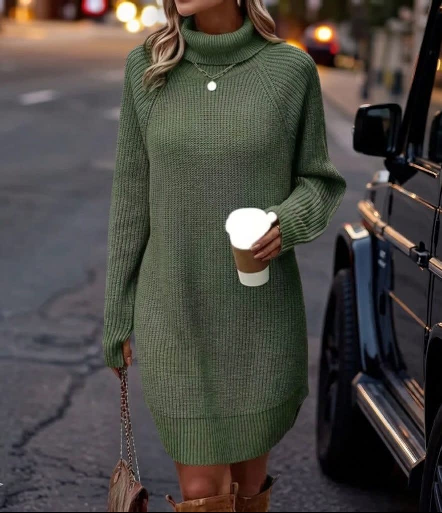 Women's Ribbed Knit Turtleneck Dress | Selina_4