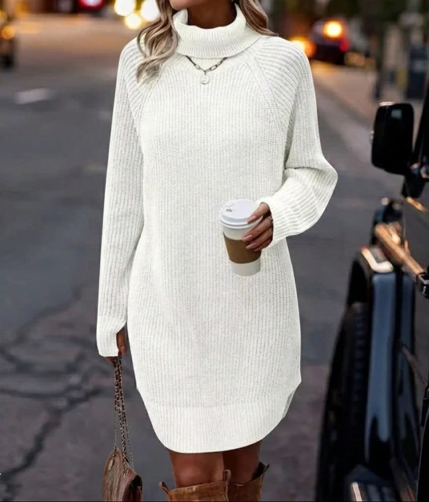 Women's Ribbed Knit Turtleneck Dress | Selina_5