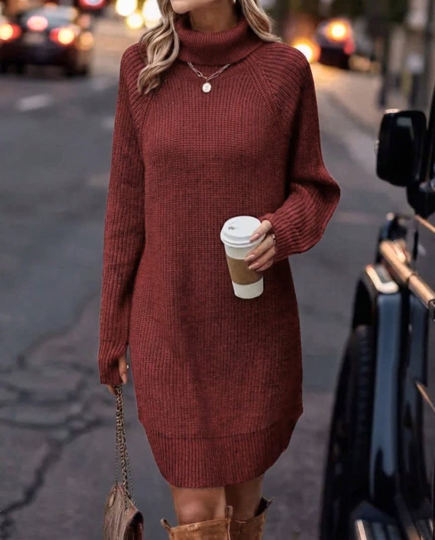 Women's Ribbed Knit Turtleneck Dress | Selina_6