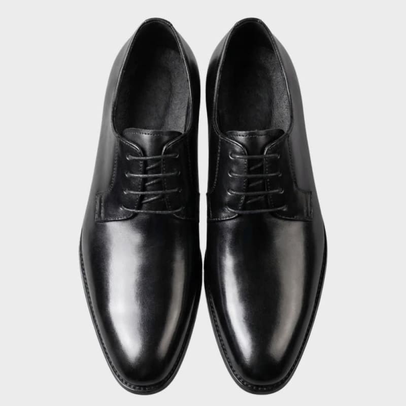 Men's Leather Lace-Up Derby Shoes | Pierce_1