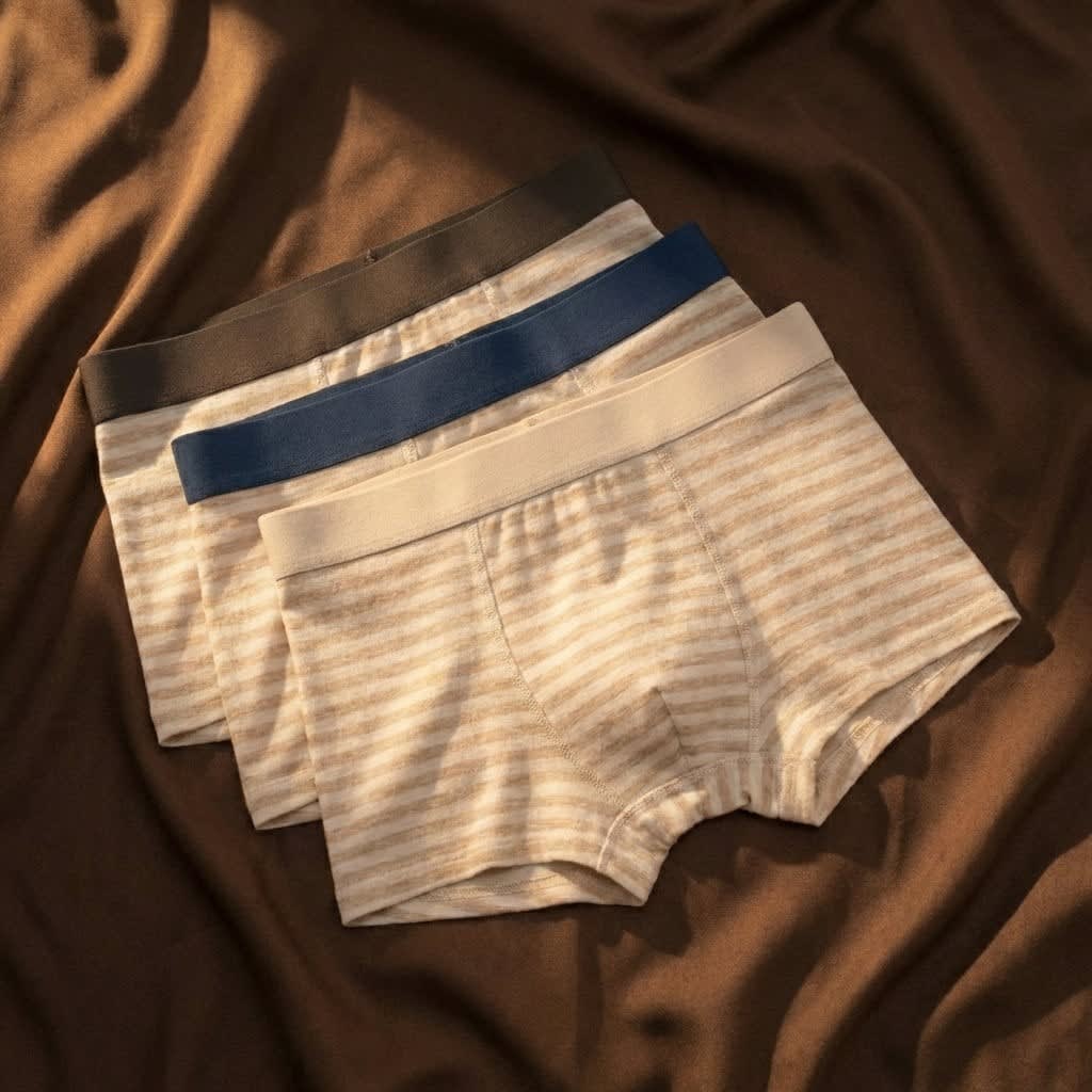 Men's Striped Cotton Boxer Briefs | Clement_6