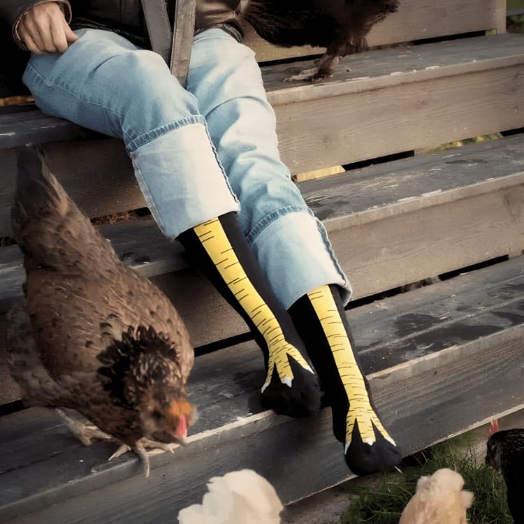 Women's Chicken Claw Novelty Socks | Bridgette_4