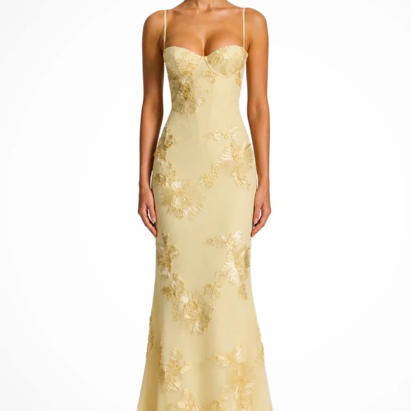 Women's Floral Embroidered Corset Wedding Guest Maxi Dress | Julia Foster_1